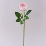 MARNUK artificial cabbage rose, light pink, 60cm, Ø9cm