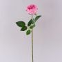 Artificial cabbage rose MARNUK, pink, 60cm, Ø9cm