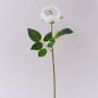 MARNUK artificial cabbage rose, cream-white, 60cm, Ø9cm