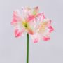 Artificial amaryllis SARNUK, white-pink, 80cm