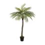 Artificial coconut palm BOLON, 5ft/160cm