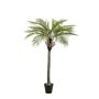 Artificial coconut palm BOLON, 6ft/180cm