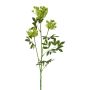 Artificial wild carrot branch TOLHER, green, 33"/85cm