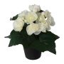 Artificial flower Begonia KELTO in decorative pot, white, 10"/25cm