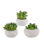 Artificial arrangement of succulents ZIFER in cement pot, 3 pieces, green, 3.1"-4"/8-10cm