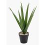Artificial Yucca palm BAKVER, decorative pot, crossdoor, 20"/50cm