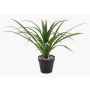 Artificial Yucca rostrata palm POLLYANNA, decorative pot, crossdoor, 14"/35cm