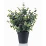 Artificial Eucalyptus GLIWEN in decorative pot, green-grey, 12"/30cm