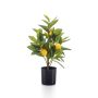 Artificial lemon tree UALANI, artificial trunk, fruits, 16"/40cm