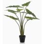 Artificial plant Alocasia Sanderiana MUNAY in decorative pot, green, 3ft/100cm