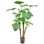 Artificial plant Alocasia calidora NOKJAN, green, 4ft/120cm