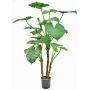 Artificial plant Alocasia calidora NOKJAN, green, 4ft/120cm