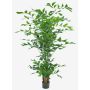 Artificial fishtail palm DRENIL, 8ft/240cm