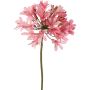 Artificial Agapanthus flower KAFENA, light pink, 90cm, Ø20cm