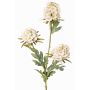 Artificial carnation branch STERMYN, cream, 75 cm, Ø 6.5–8.5 cm