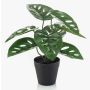 Artificial Philodendron monstera adansonii PRUMEX, decorative pot, 11"/28cm
