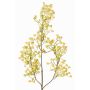 Artificial gypsophila branch MURMYN, yellow-green, 65cm