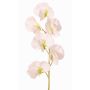 Artificial Lathyrus flower WAHNY, white and green, 45cm, Ø5.5cm