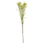 Artificial branch Wax flower MEDEA, green-hot pink, 80cm, Ø6cm