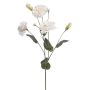 Artificial flower Lisianthus RENARA, white, 75cm