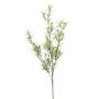 Artificial Asparagus sprengeri branch SAMBENO, green, 31"/80cm