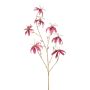 Velvet gloriosa KAZBEK, dusky pink-gold, 4ft/110cm