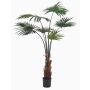 Decorative livistona rotundifolia SIRRAH, green, 4ft/110cm