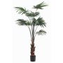 Decorative livistona rotundifolia SIRRAH, green, 5ft/150cm