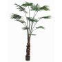 Decorative livistona rotundifolia SIRRAH, green, 6ft/180cm