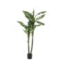 Artificial dieffenbachia LATRIXA, green-white, 5ft/150cm