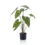 Artificial plant Alocasia Zebrina LEFKA with roots, green, 30"/75cm