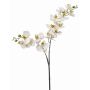 Plastic Phalaenopsis orchid branch WANTA, white, 3ft/100cm