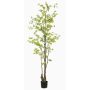 Decorative tree Nasturtium SULLA, artificial stem, green, 7ft/210cm