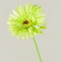 Artificial gerbera flower TEUDELINDE, green-cream, 22"/55cm, Ø3.1"/8cm