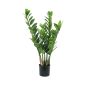Artificial Zamioculcas Zamiifolia AKELA, green, 28"/70cm