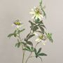 Decorative passion flower JULANDA, white-purple, 3ft/100cm, Ø3.5"-4.3"/9-11cm