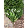 Decorative bouquet SIVIKELO, lily of the valley, lavender, spike, white, 16"/40cm
