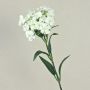 Fake flower Sweet William SUSILAWA, white-cream, 22"/55cm
