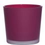 Flower pot made of glass ALENA FROST, magenta matt, 11cm, Ø11,5cm