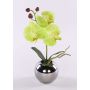 Artificial flower orchid Phalaenopsis NAPIRAI, planter, cream-green, 12"/30cm