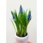 Artificial flower Grape hyacinth NARMADA in cement pot, blue, 8"/20cm
