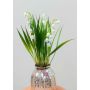 Plastic flower Lily of the valley NIKISHA in glass vase, white, 8"/20cm