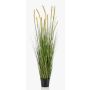 Artificial foxtail grass ANAELLA with panicles, green, 5ft/150cm