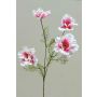 Decorative flower branch Cosmos PRESTIOSA, white-pink, 30"/75cm