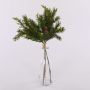 Decorative cryptomeria bunch KIGANJA with cones, green, 14"/35cm