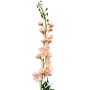 Fake flower Delphinium RADUNIA, apricot, 3ft/100cm