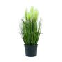 Plastic pampas grass TIMEA with panicles, green, 24"/60cm