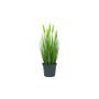 Plastic wheat BETTINA with spikes, green, 24"/60cm