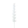 Plastic eucalyptus branch GLAUCO in glass optic, 12 pieces, white, 80cm