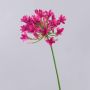 Plastic flower Agapanthus OMOLON, pink, 30"/75cm